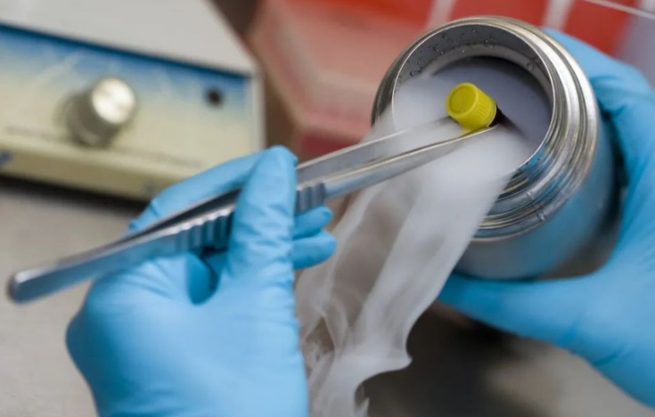 液氮?dú)⒕? alt=